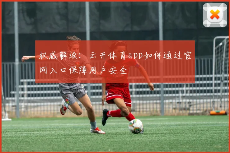 权威解读：云开体育app如何通过官网入口保障用户安全