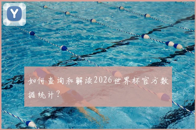 如何查询和解读2026世界杯官方数据统计?